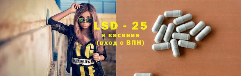 где продают наркотики  Болохово  Лсд 25 экстази ecstasy 